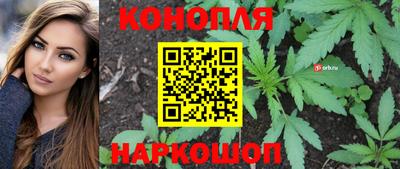 ПСИЛОЦИБИНОВЫЕ ГРИБЫ Краснодар