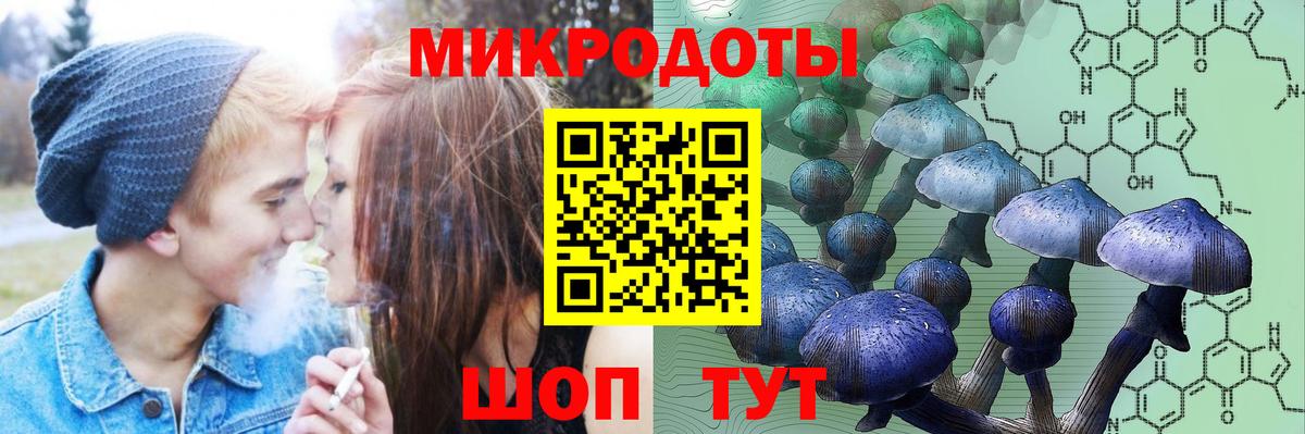 Клин  Галлюциногенные грибы мицелий  Вход с VPN  Галлюциногенные грибы GOLDEN TEACHER 